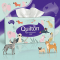 Quilton Extra Thick 3-Ply Facial Tissues - 110 Sheets (Hypo-allergenic)*1/BOX